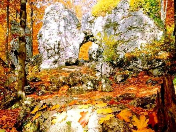 Brama Twardowskiego - Złoty Potok