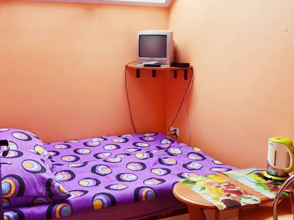 Agroturystyka Złoty Potok 