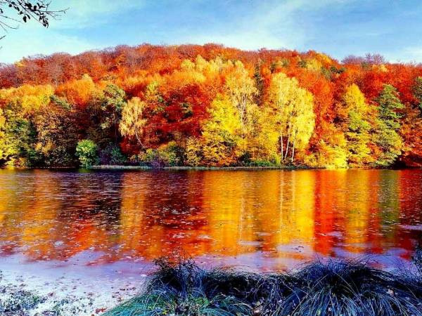 Agroturystyka Złoty Potok 