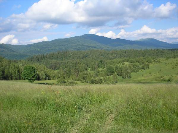 widok ze Strzebowisk