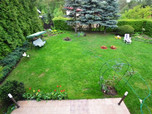 widok na ogród z tarasu