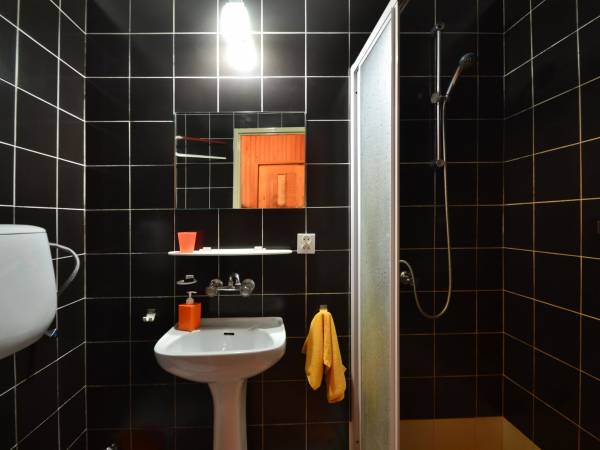 Wc i prysznic na partaerze