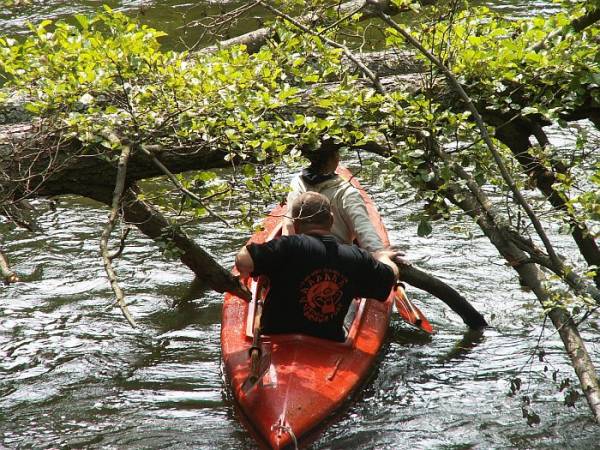 Agroturystyka Gościniec