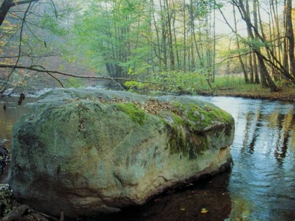 Agroturystyka Gościniec