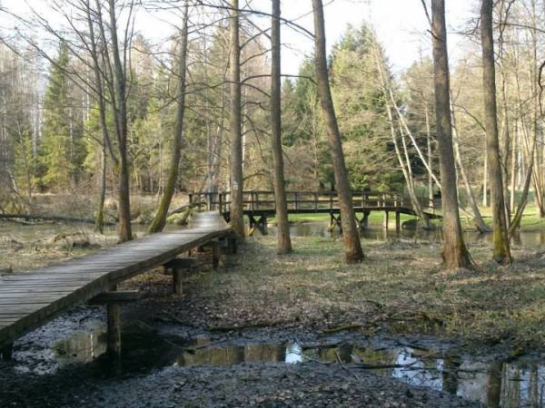 Agroturystyka Gościniec