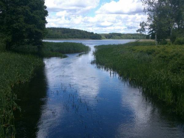 Agroturystyka Gościniec