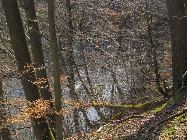 Agroturystyka Gościniec