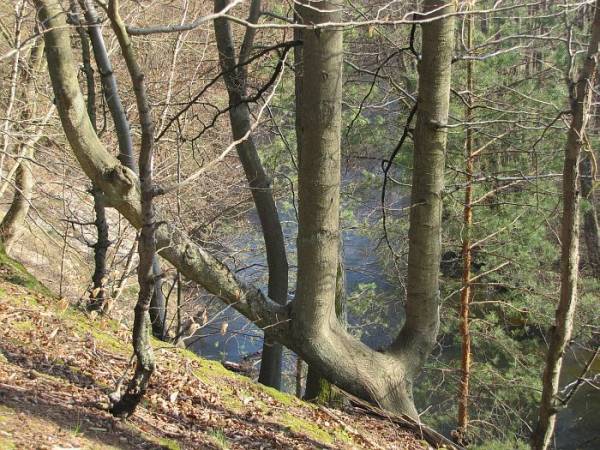 Agroturystyka Gościniec