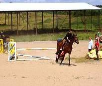 Jedna z możliwości spędzenia wolnego czasu