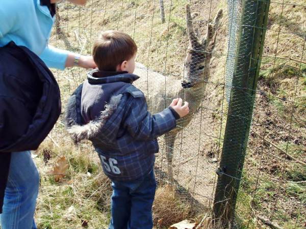 Kadzidłowo - park dzikich zwierząt - 8 km