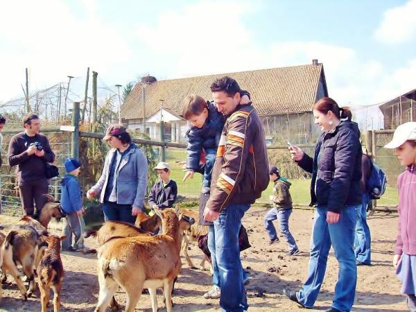 Park dzikich zwierząt - 8 km