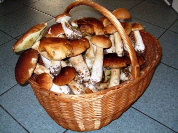 Willa Cyklada Mikołajki