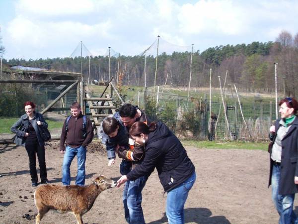 Park dzikich zwierząt w Kadzidłowie