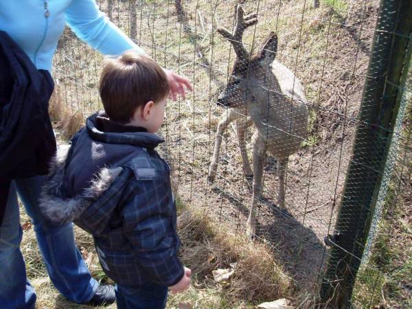 Park dzikich zwierząt Kadzidłowo - ok. 9 km