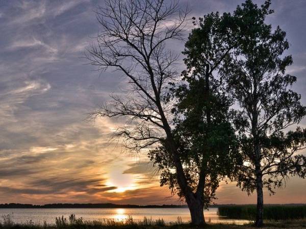 Dom Gościnny Diament
