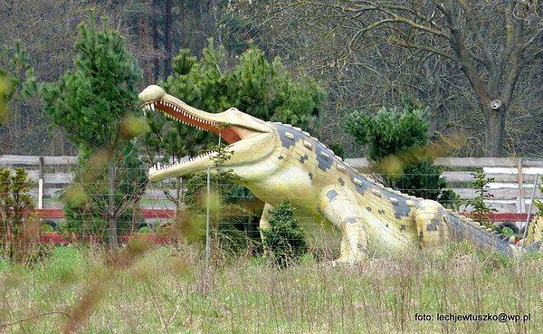 Dom Gościnny Diament