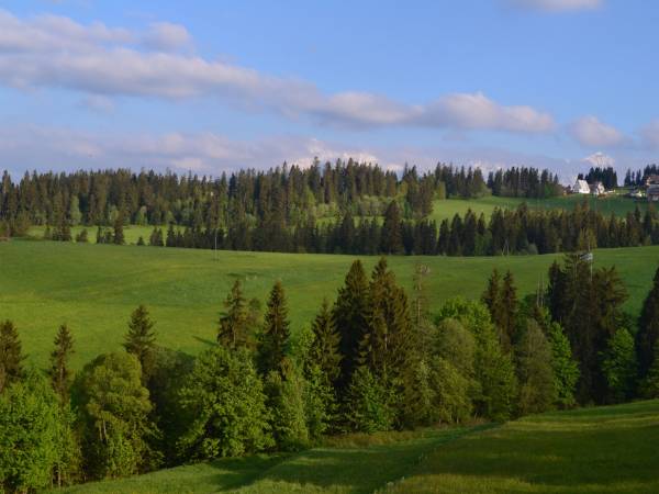 Widok z okna (pokój nr 5)