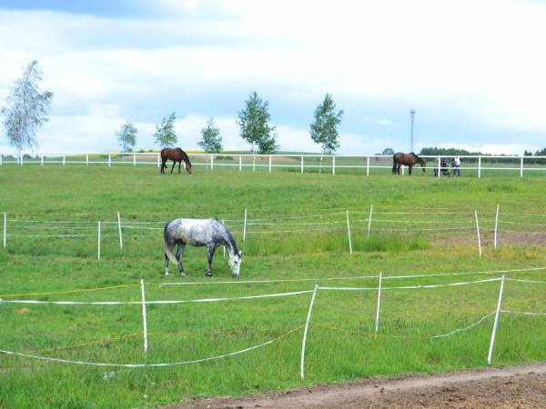 Stajnia Głęboczek Gospodarstwo Agroturystyczne