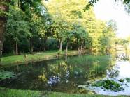 Agroturystyka Pod Lipami