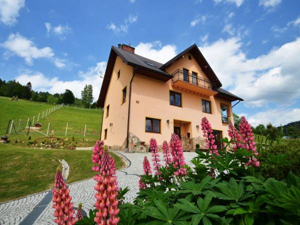 Pokoje gościnne przy stoku