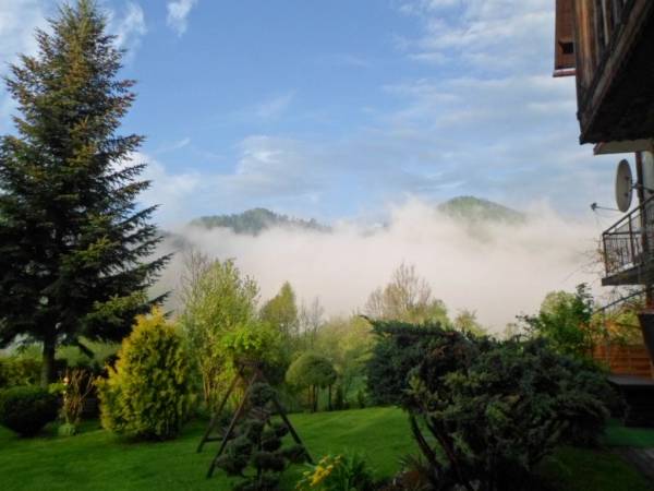 widoki na zamglone góry