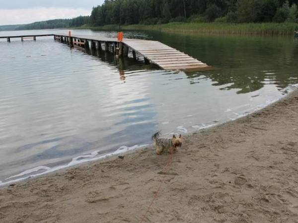 Pokoje Gościnne Polanka