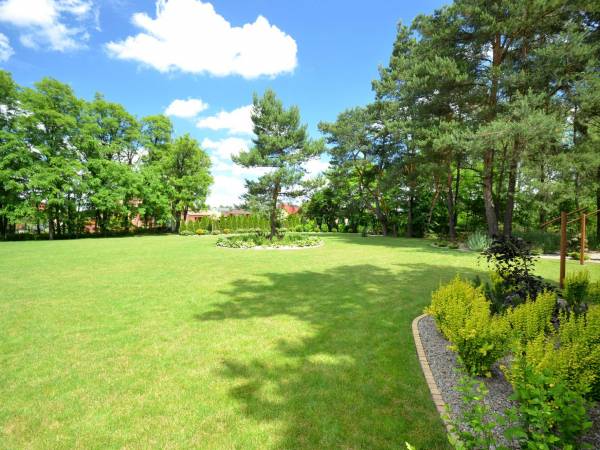 Pokoje do wynajęcia Akacja