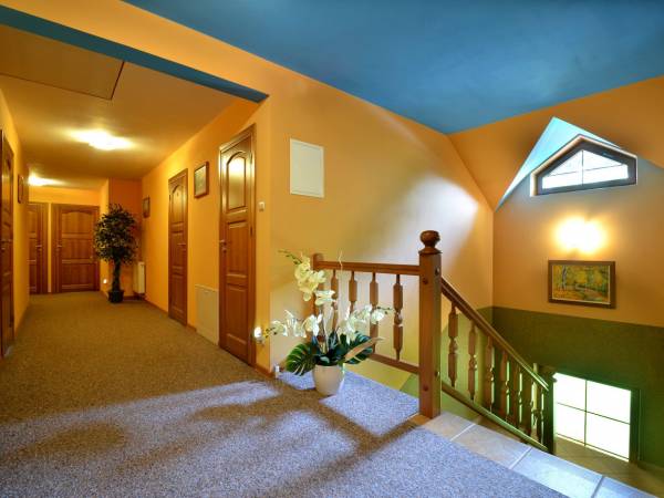 Pokoje do wynajęcia Akacja