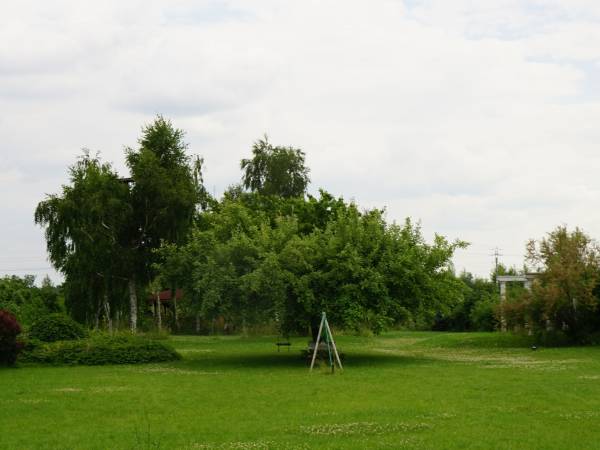 ogród 0,5ha, hamak, glorietta