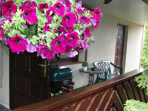 Dom Wypoczynkowy Sylwia